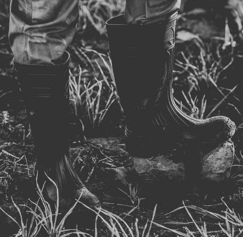Gumboots
