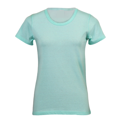 Ladies Fitted T-Shirt - 160gsm