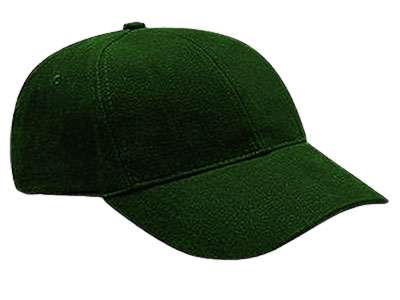 6-Panel Heavy Brushed Cap - Totalguard