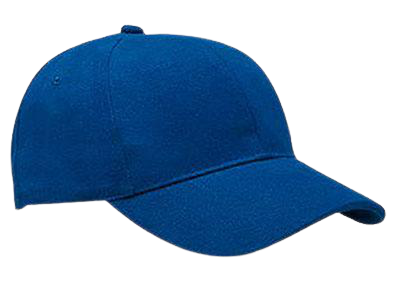 6-Panel Heavy Brushed Cap - Totalguard