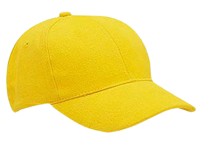 6-Panel Heavy Brushed Cap - Totalguard
