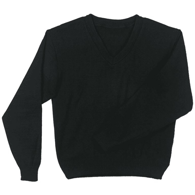 Long Sleeve Plain V-Neck Jersey
